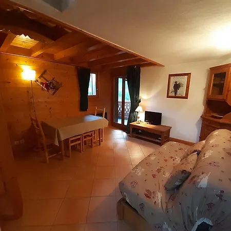 T2 Montagne, Balcon, Proche Pistes - - Fr-1-464-4 *